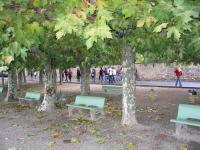 Exkursion Kloster Eberbach 11/2006