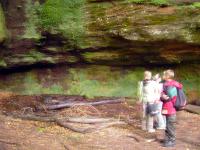 Exkursion Gersbachtal 6/2007