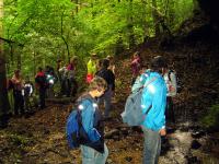 Exkursion Gersbachtal 6/2007