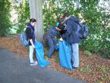 Saubere Landschaft 9/2011