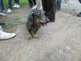 Waldexkursion 6/2012