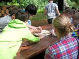 Waldexkursion 6/2012