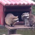 24.6.13: 5e im Kurpfalzpark