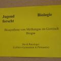 David Ranzinger bei "Jugend forscht" 2/2014