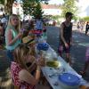 Schulfest 7/2014