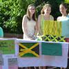 Schulfest 7/2014