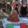 Schulfest 7/2014