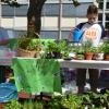 Schulfest 7/2014