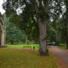 Weimar 9/2014