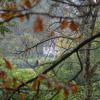 Weimar 9/2014