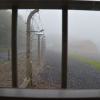 Weimar 9/2014