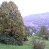 Wolfstein 10/2014