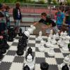 Schulfest 7/15