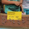 Schulfest 7/15