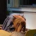 Jugendtheater lädt zur Pennerhochzeit 13/25