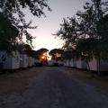 Studienfahrt MSS12 in die Camargue 6/17
