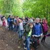 5. Klassen in der JH Homburg 9/17