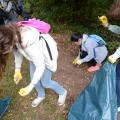 Sauberer Wald 11/17