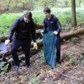Sauberer Wald 11/17