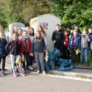 Sauberer Wald 11/17