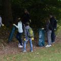 Sauberer Wald 11/17