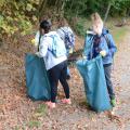Sauberer Wald 11/17