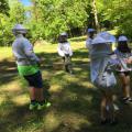 Bienen-AG 5/18