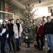 Weihnachtsbaum in der Aula 12/20