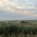 Ukraine-Bericht 10/24
