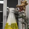 ChemisTree-Wettbewerb 12/24